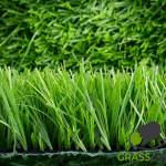 grass dubai Profile Picture
