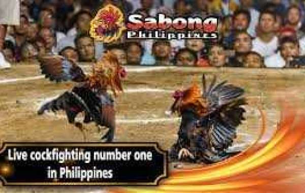 Exploring the Phenomenon of Online Sabong in the Philippines