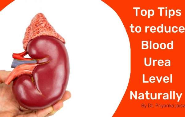 When Is the Best Time to How to Reduce Blood Urea